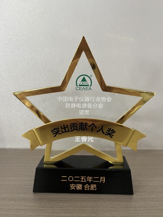 突出貢獻個人獎